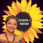 Professora da EENF Maria Elisângela Torres de Lima Sanches foi eleita para o cargo de Diretora Supervisora da Maternidade Escola Santa Mônica na cidade de Maceió.